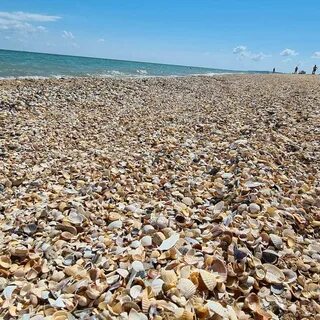 Где лучше отдохнуть на азовском море