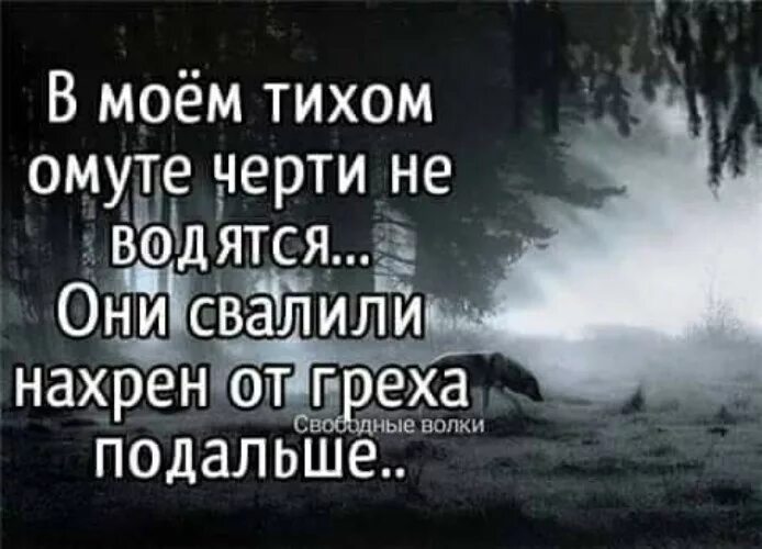 Что значит в тихом омуте черти. В тихом омуте черти водятся. В тихом омуте черви водядся. В моём омуте черти. В тихом омуте черти водятся стих.