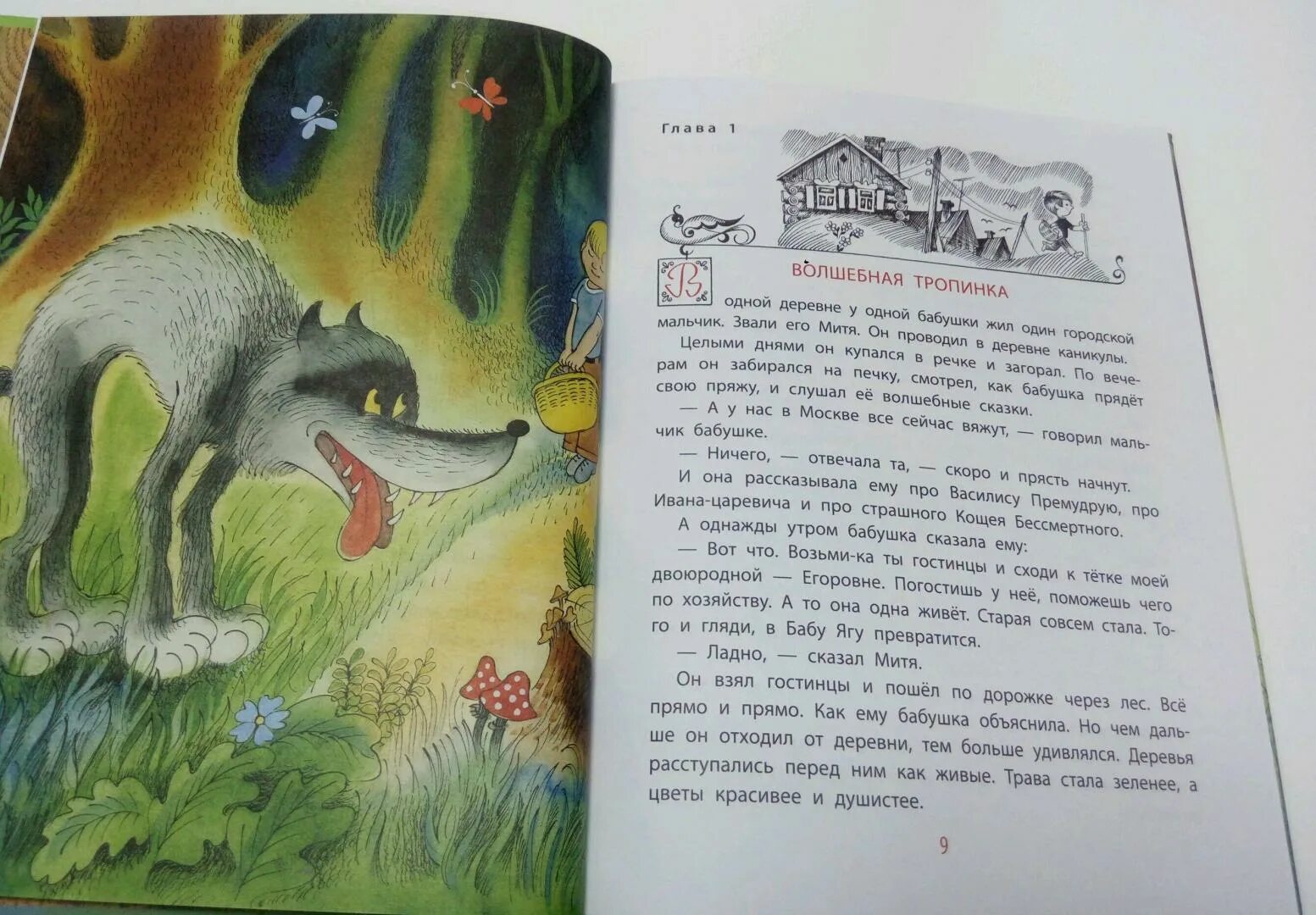 По тропам волшебных лесов книга