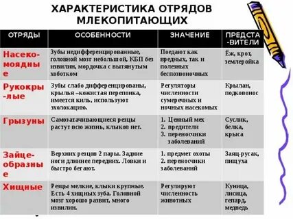 Характеристики млекопитающих таблица