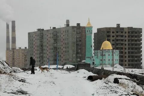 Без суровая