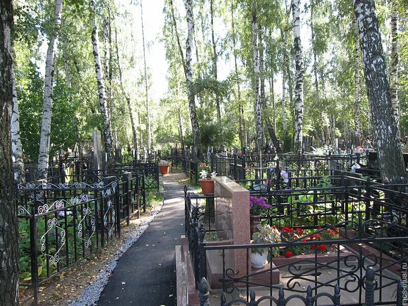 Где раньше были кладбища. Владыкинское кладбище в Москве. Владыкинское кладбище знаменитости. Владыкинское кладбище могила. Болшевское кладбище Королев.