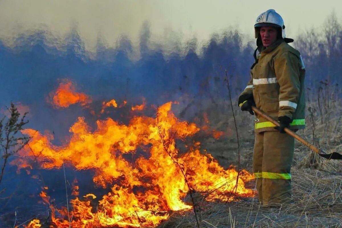 тушение пожара. лесные пожары в сибири 2020. денежкин камень заповедник пожар. мчс россии пожарные лесоохрана. пожарники тушат лесной пожар.