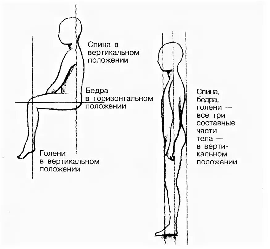 Вертикальное положение тела. Вертикальная поза человека. Вертикальное положение. Горизонтальное положение тела.