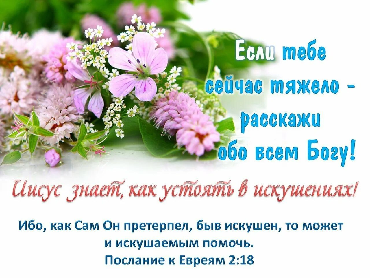 Благословение цитаты из библии. Христианские открытки с цитатами из библии. стихи из библии для ободрения. стихи из библии для ободрения и утешения. христианские стихи из библии на каждый день.