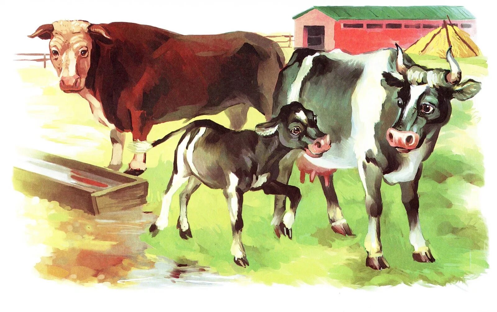 Домашние животные 6 класс. Домашние животные для детей. Корова бык теленок. Корова с теленком для детей. Домашние животные и Детеныши.