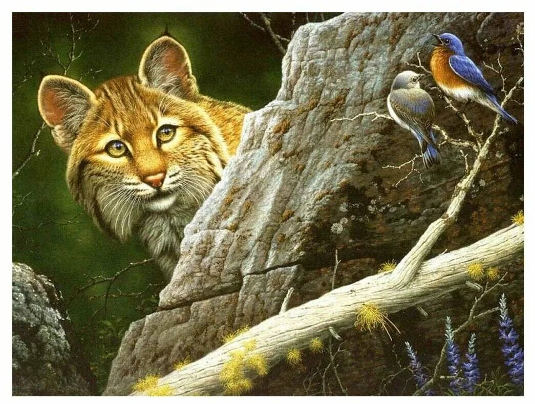 Рысь сова. Художник-анималист Mansanarez Tom. Пейзаж с животными. Живопись животные в природе. Красивые пейзажи с животными.