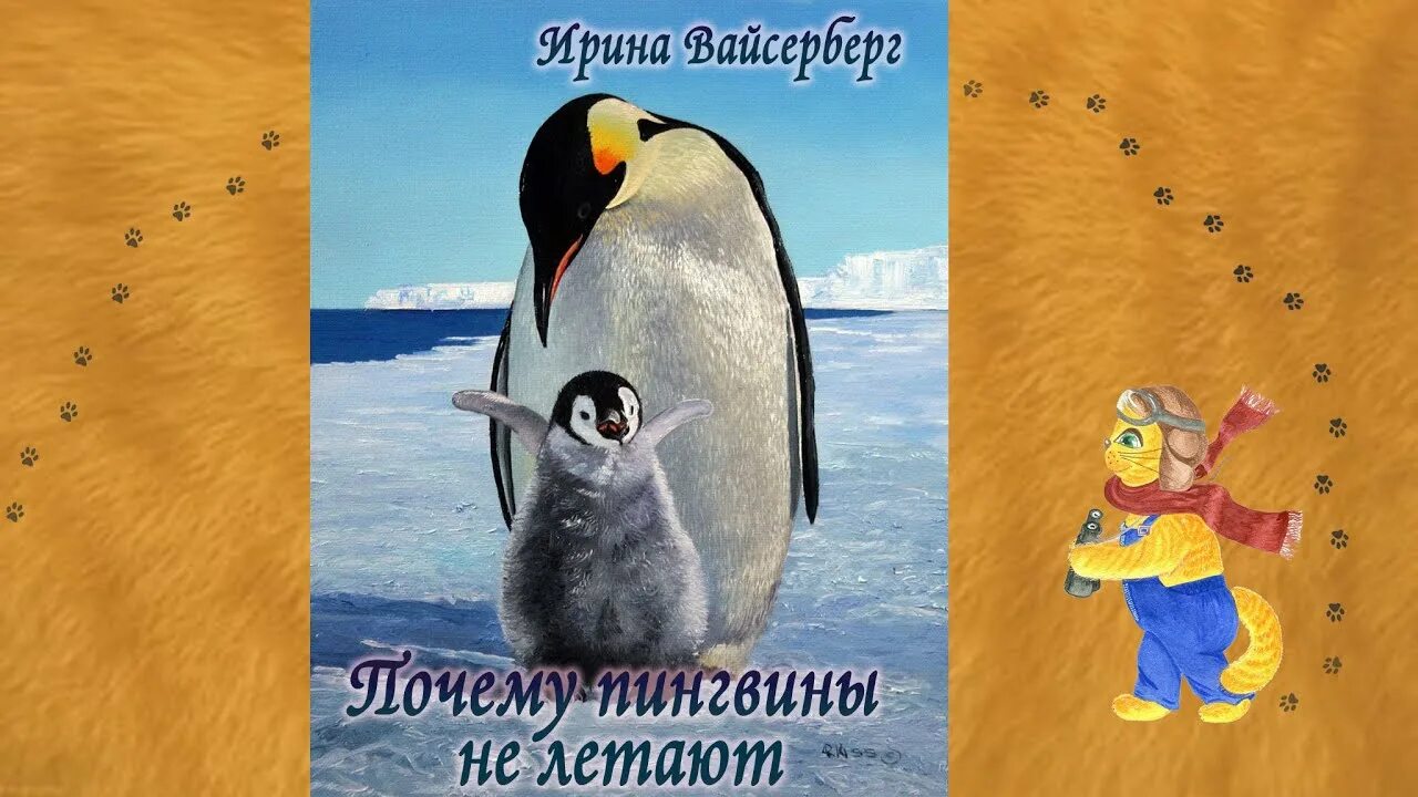 Пингвины презентация. Пингвин самка. Пингвин умеет летать. Почему пингвины не летают. Антарктида пингвины адели.