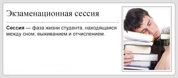 Веселые студенты картинки. Презентация на тему день студента. Высказывания о студентах. Смешные высказывания о студентах. Читать короткие про студентов.