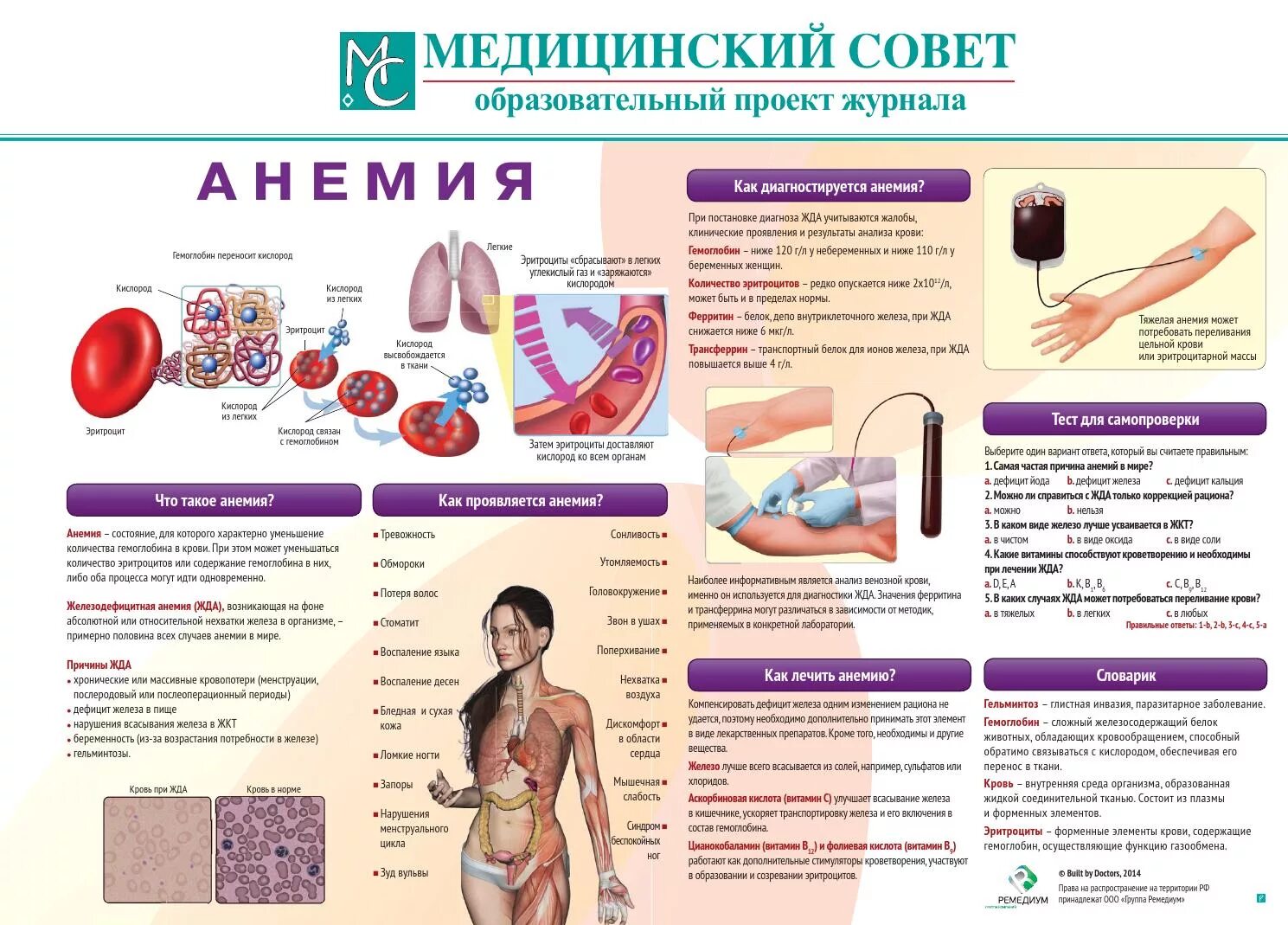 Медицинский совет 2023. Профилактика анемии. Железодефицитная анемия буклет. Анемия буклет. Буклет профилактика железодефицитной анемии.