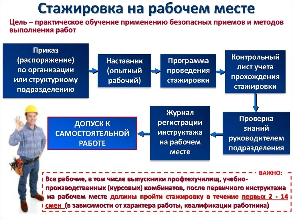 Организация закрепления работников. Организация и проведение стажировки на рабочем месте. Порядок проведения стажировки. Сроки проведения стажировки работников:. Виды стажировки на рабочем месте.