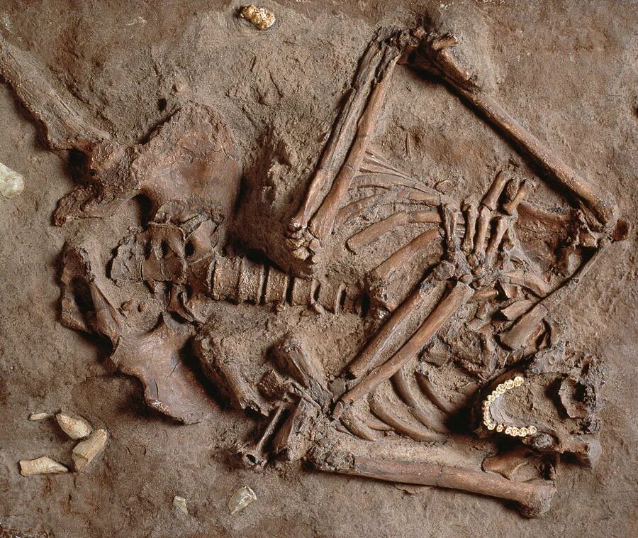 фрагменты костей