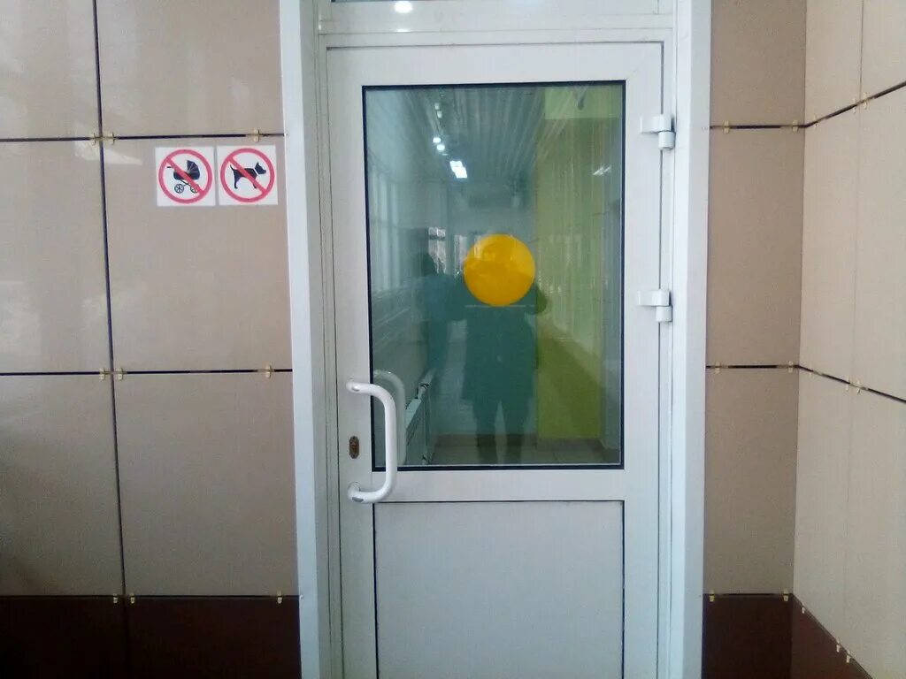 Юлия фишер логика и познание 2-3 года. Юлия фишер грамота часть 2. Георгиева 9 барнаул. Георгиева 13 барнаул детская. Ул георгиева барнаул.