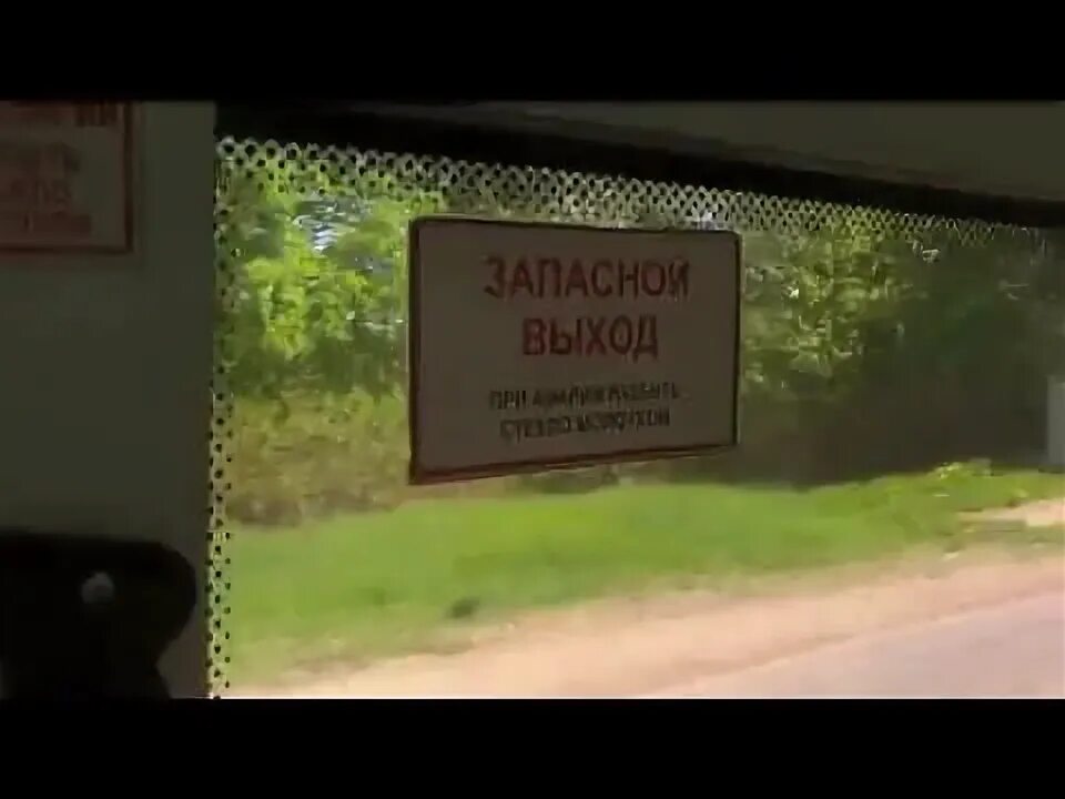 Автобус 273 красное село Пушкин. Пушкин красное село. Маршрутка 446 красное село хвойный. Красное село автобус на Пушкин маршрут.