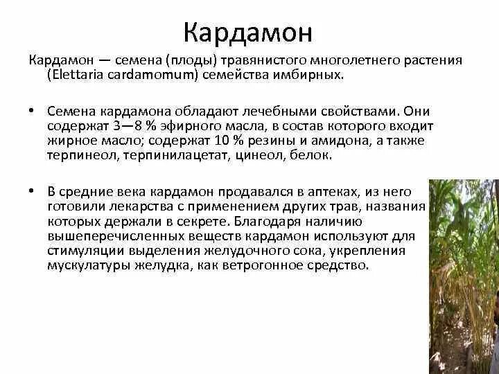 Кардамон что это полезные свойства. Кардамон лечебные свойства. Кардамон для чего полезен. Полезные свойства кардамона для организма.