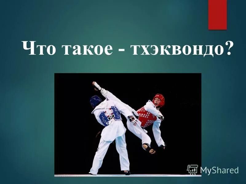 Тхэквондо темы