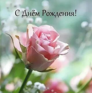 С днем рождения нине владимировне открытки