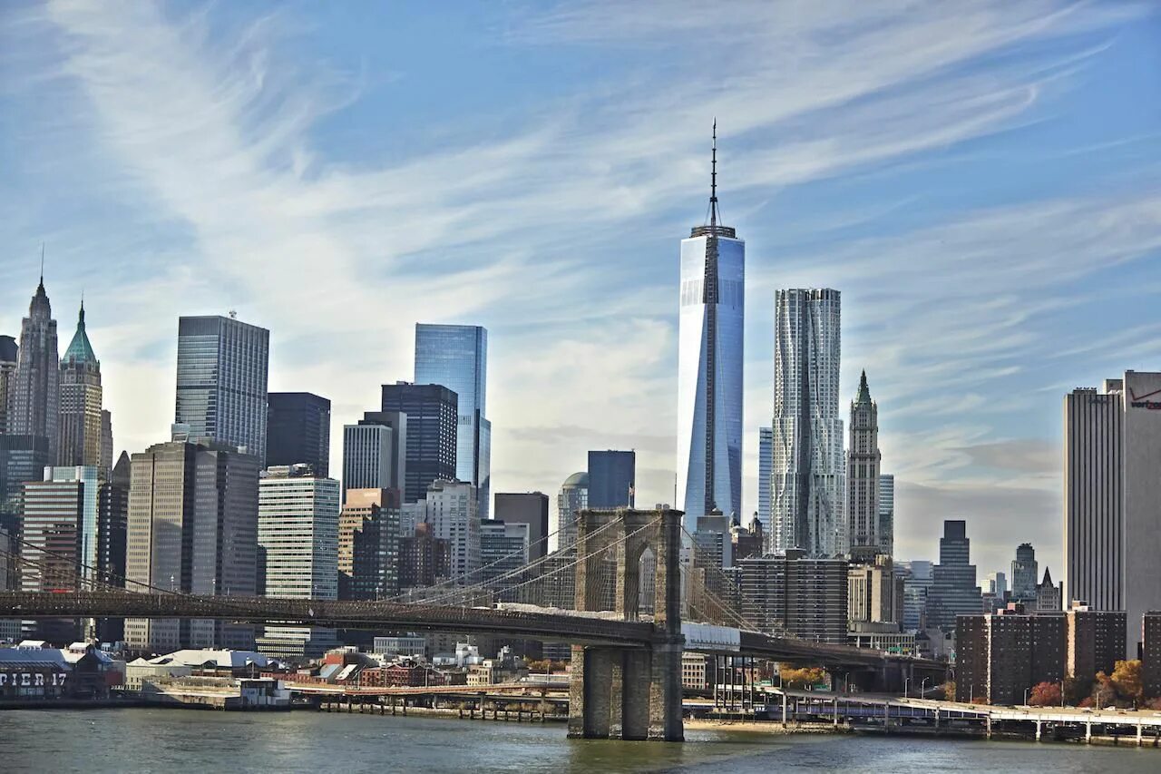 New york is the largest city