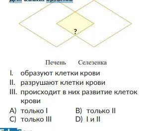 Ниже приведены две точки зрения на