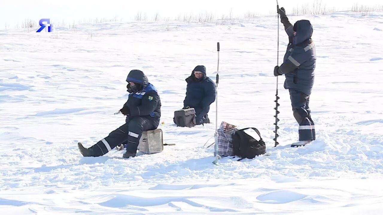 Погода в ямбурге на 3. Ямбург Ямало-Ненецкий. Поселок Ямбург. Ямбург Тольятти. Рыбалка в Ямбурге.