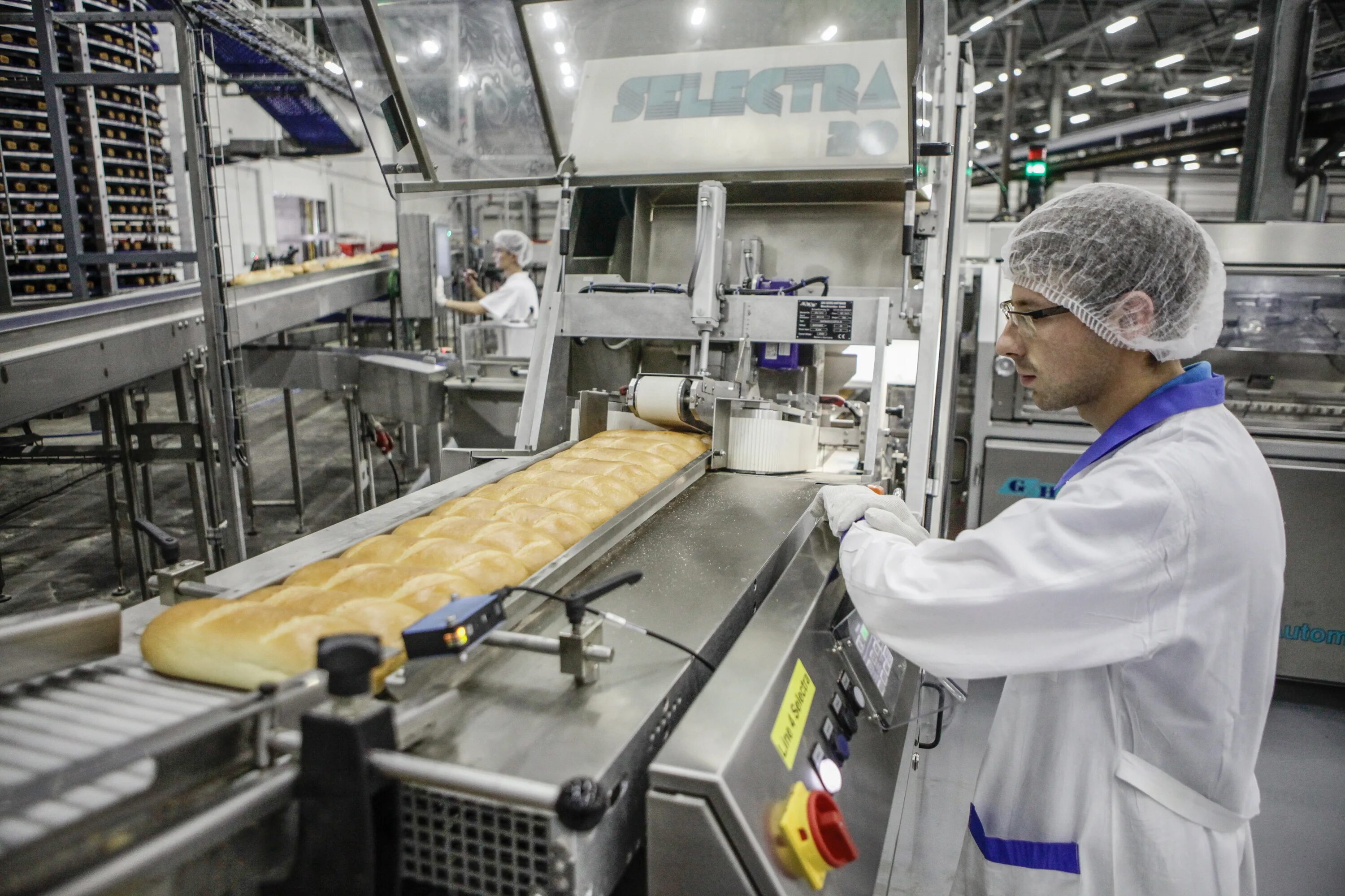 хлебное царство