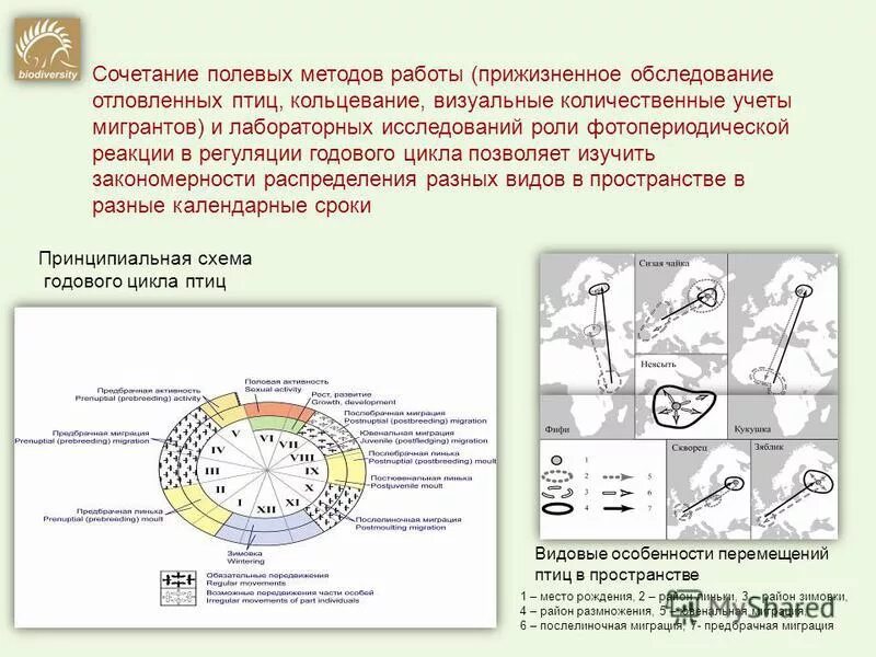 Полевой опыт. Полевой способ исследования. Виды полевых опытов. Полевой метод работы. Методики исследования почвы.