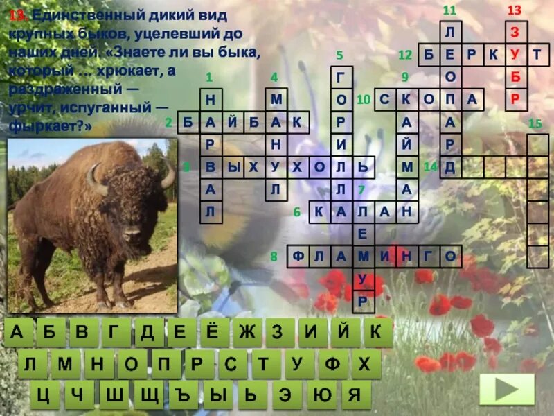 Приокско террасный заповедник растения кроссворд. Приокско террасный заповедник растения кроссворд. Кроссворд по теме животные. Кроссворд по окружающему миру 4. Окружающий мир кроссворд заповедник.