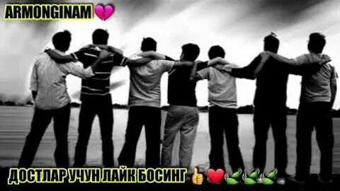 Чин дуст