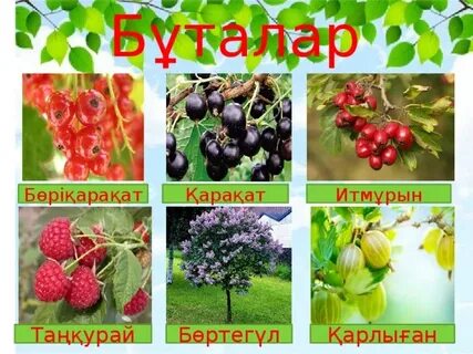 Үстел үстінде әдемі секс