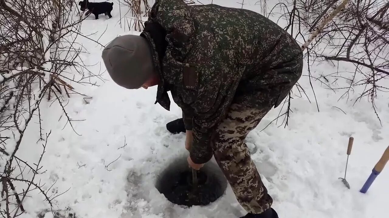 Петля на бобра. Ловля бобра петлями зимой. Петли на бобра.