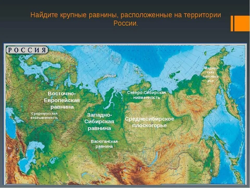 Покажи какие есть россии. Равнины Плоскогорья низменности на карте России. Крупнейшие равнины России на карте. Рельеф России низменности Плоскогорья. Крупные формы рельефа России на карте.