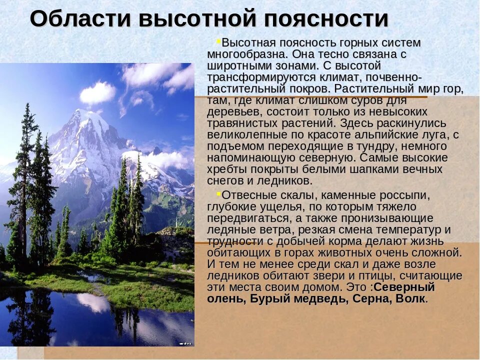 Высокие характеристики. Горные территории с ВЫСОТНОЙ поясностью в России. Горные территории с ВЫСОТНОЙ поясностью растения. Области ВЫСОТНОЙ поясности климатический пояс. Климат области ВЫСОТНОЙ поясности в Евразии.