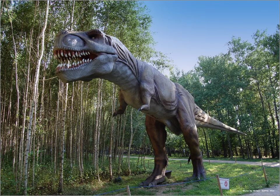 Гладиатор 2000 рим. Динозавры в колизее. Юркин парк казань. Динозавры которые выжили. Динозавры в колизее.