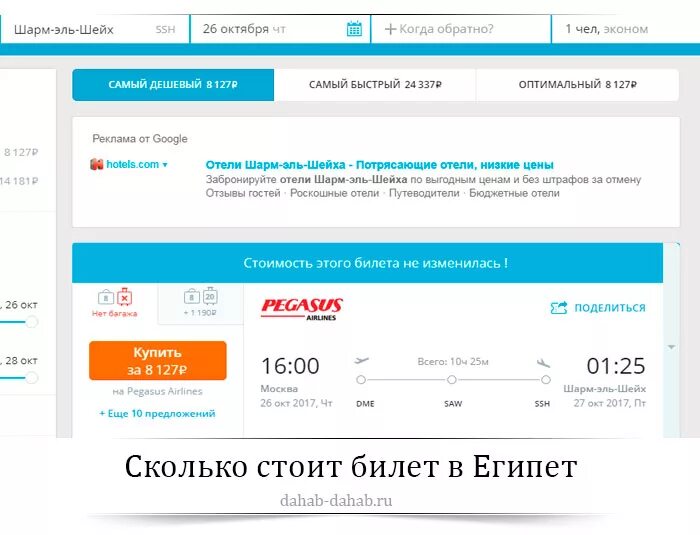 Полетим купить билет. Билет до Египта. Авиабилеты в Египет. Билеты в Египет. Билеты на самолет в Египет.