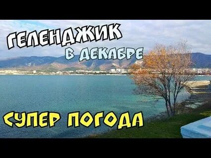 Погода в геленджике на декабрь 2023