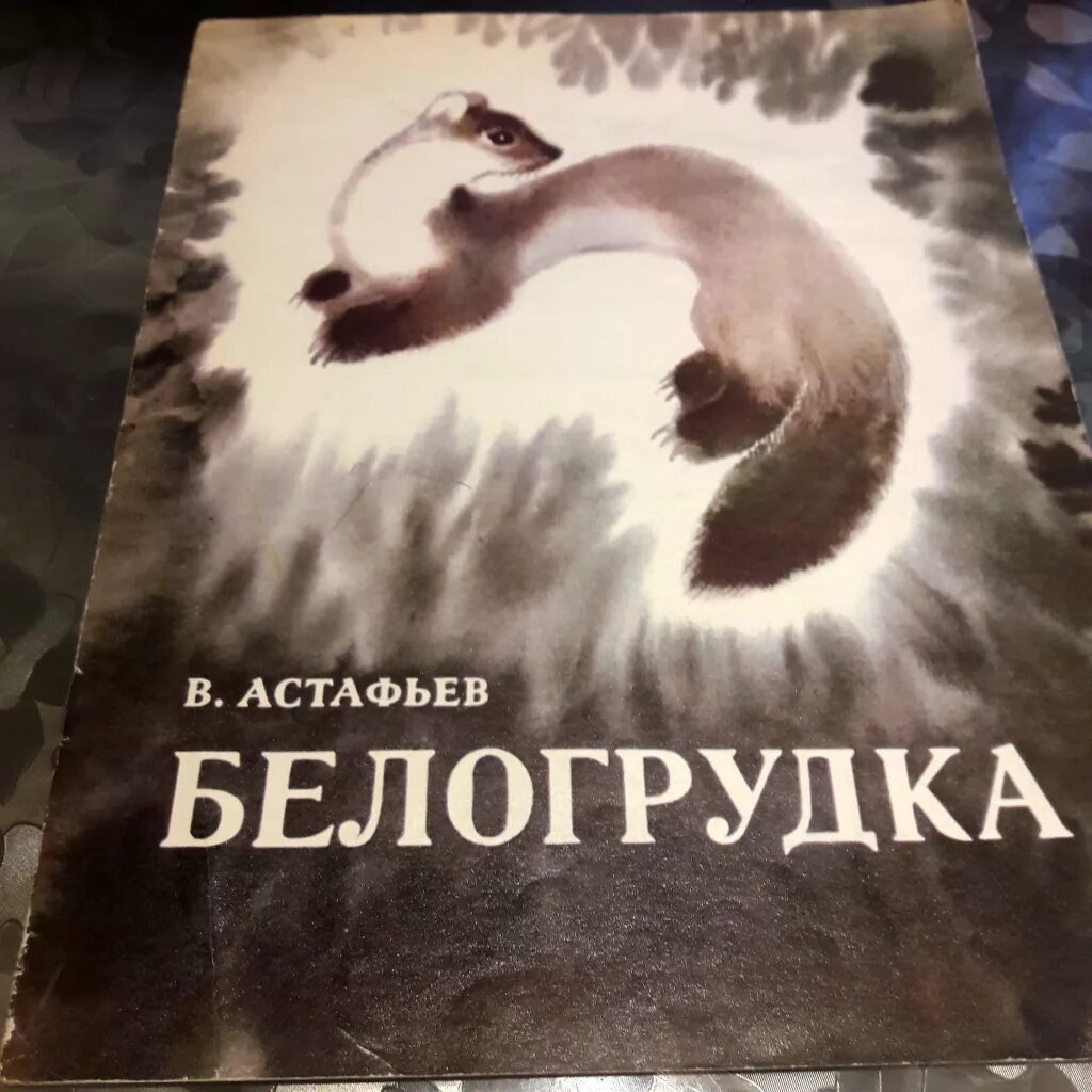 Белогрудка читательский дневник. Белогрудка Астафьев 1978. В П Астафьев Белогрудка. Афанасьев Белогрудка. Куница Белогрудка Астафьев.