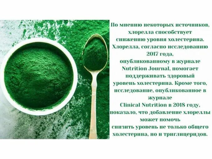 Хлорелла ее функции. Хлореллы и спирулины и. состав спирулина хлорелла. спирулина и хлорелла. микроводоросли хлорелла.