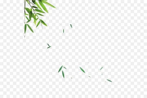 Leaves skins