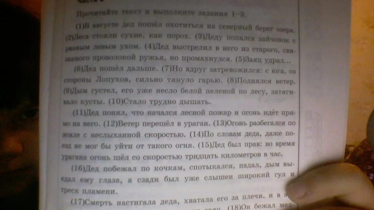 Изложение лес источник жизни. Лес источник жизни изложение. паустовский лес источник жизни. лес источник жизни сжатое изложение. определить тему и идею текста паустовского.