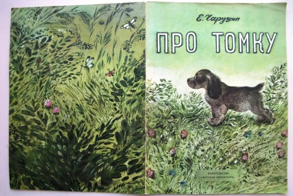 Как томка научился плавать. Чарушин про Томку иллюстрации. Чарушин Томкины сны. Иллюстрации Чарушина Томка.