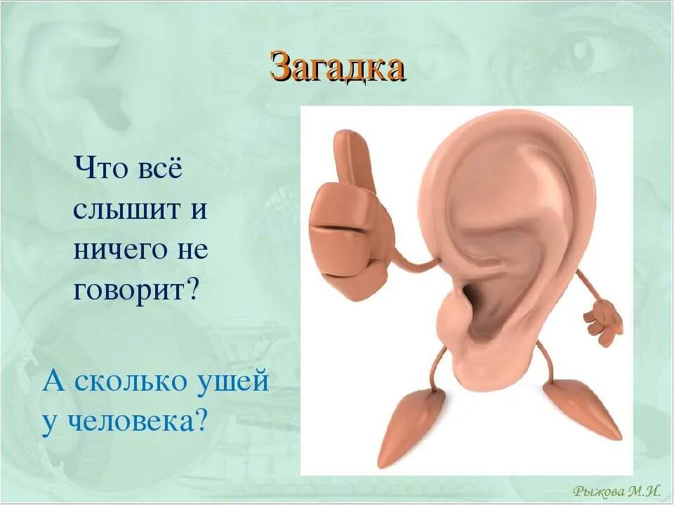 Загадка про уши. Уши орган слуха. Презентация орган слуха. Презентация на тему органы слуха. Что значит слышать звук