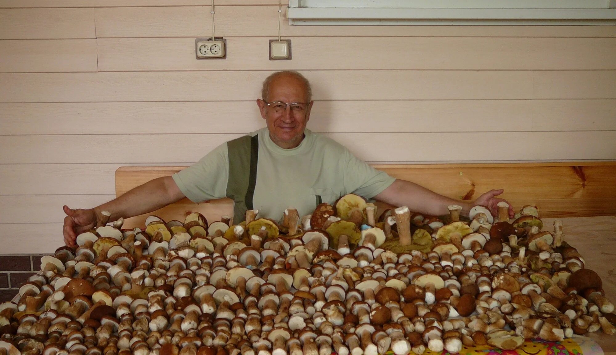Огромная куча грибов. Много грибов. Огромная куча белых грибов. Урожай грибов.