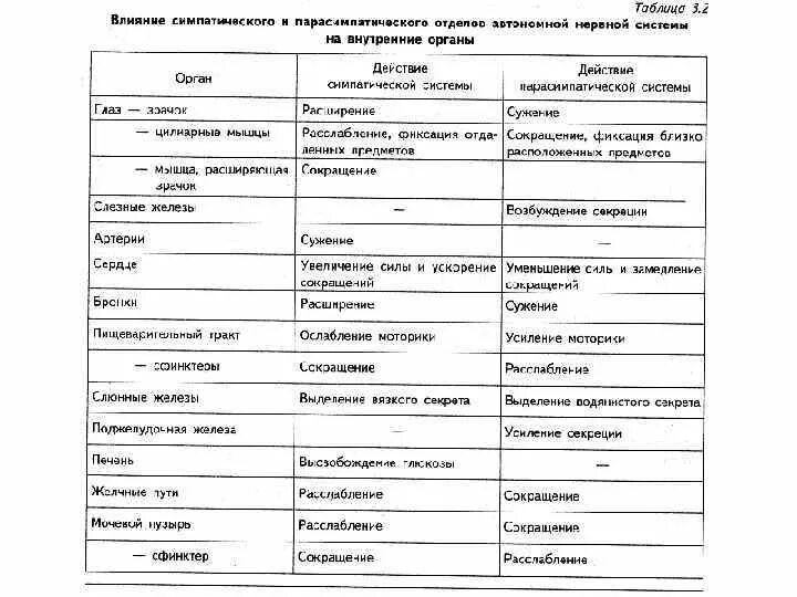 Действия симпатического и парасимпатического отделов. Строение отделов вегетативной нервной системы таблица. Влияние симпатического и парасимпатического отделов ВНС на органы. Функции симпатической и парасимпатической нервной системы таблица. Строение симпатической и парасимпатической нервной системы таблица.