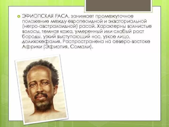 Выступающий нос характерны для какой расы. Негроидная и эфиопская расы. Эфиопская раса. Эфиопская раса признаки. Эфиопская раса и негроидная раса.