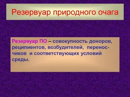 Виды природных очагов