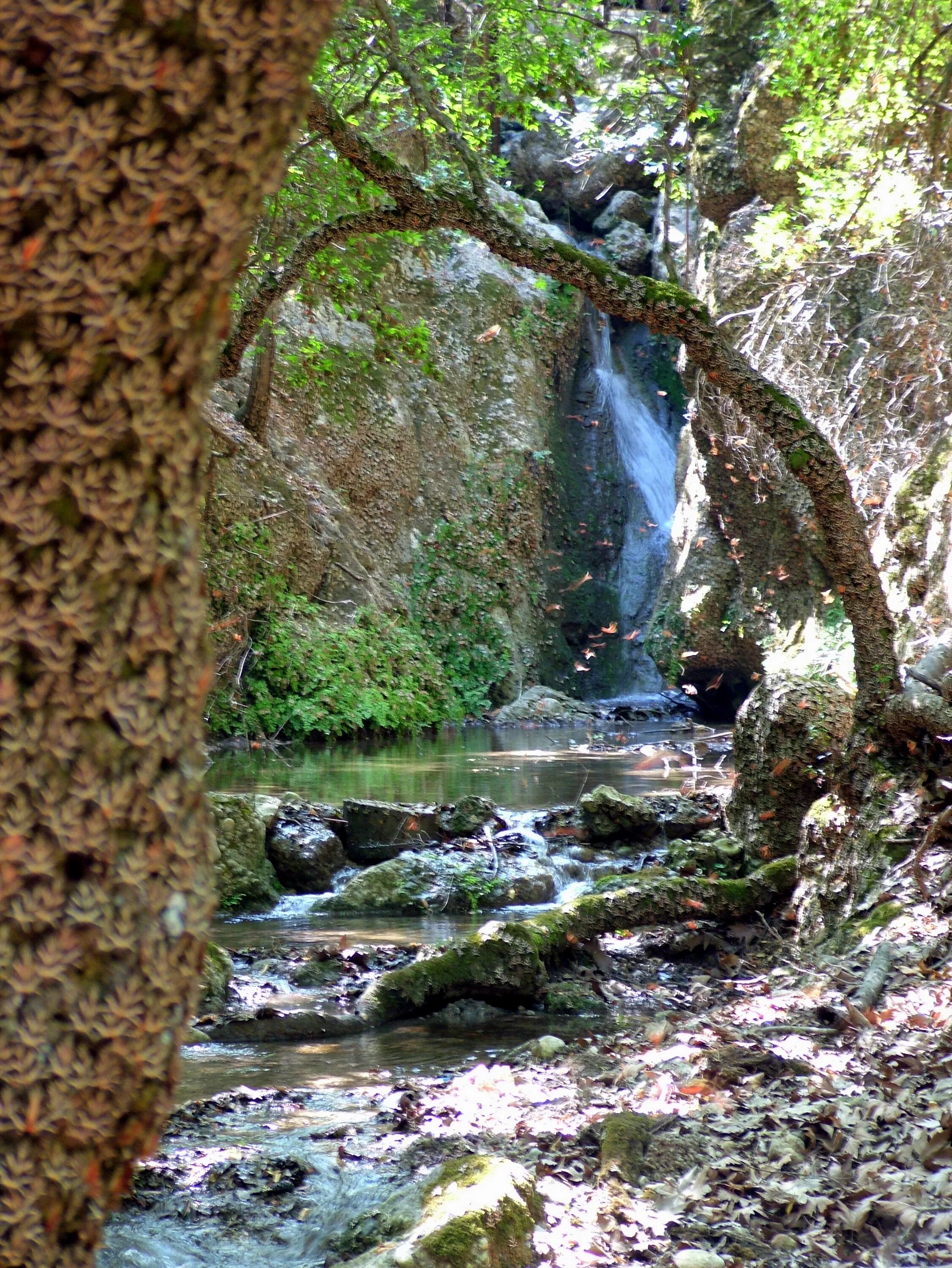 долина бабочек остров родос греция. долина бабочек фетхие. долина бабочек (остров родос). каньоны бабочки. каньоны бабочки.