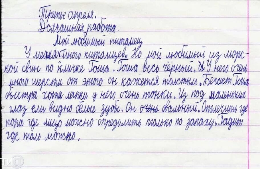 Сочинение на тему случай в школе. Сочинение. Письменное сочинение. Сочинение 2 класс. Сочинение 3 класс.