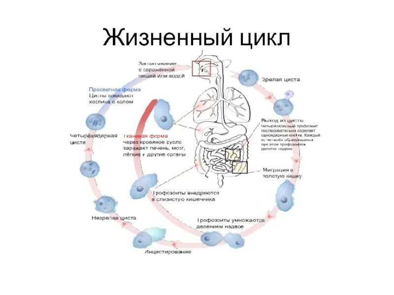 Экологичность всего жизненного цикла