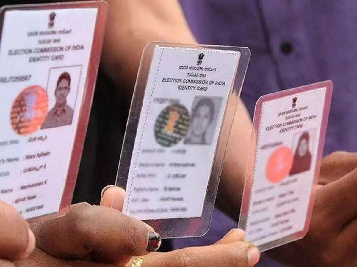 Voter ID. Voter Card India. Vote Card. Voter ID Prime Lab. Id id demo