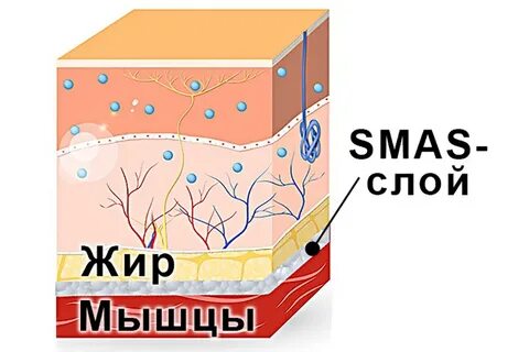 Смас слой